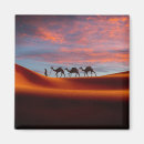 Buscar duna imanes Desierto