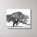Buscar oak tree arte Árbol