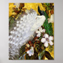 Buscar pavo real blanco posters Pavos reales