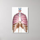 Buscar 3d lienzos Parte