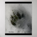 Buscar pata negra posters Para todos