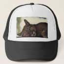 Buscar puma gorras León
