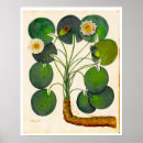 Buscar hindú arte Ilustracion