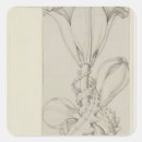 Buscar genios postales Otto