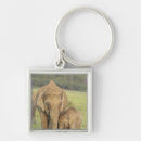 Buscar elefante indio llaveros Corbett