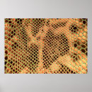 Buscar fondo azul posters Animal