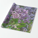 Buscar flores la lila de papel de regalo Naturaleza