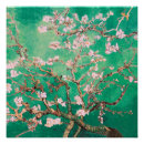 Buscar verdes posters Van gogh