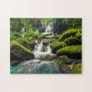 Buscar musgo puzzles Selva tropical