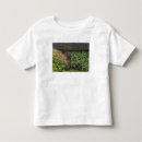 Buscar festivo camisetas Casa