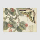 Buscar libélula papel de seda Crema