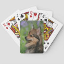 Buscar headshot barajas de cartas Foto