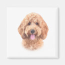Buscar goldendoodle imanes Perro