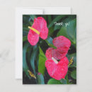 Buscar plantas de la tarjetas Flora