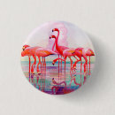 Buscar flamenco chapas Flamencos rosados