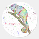 Buscar chameleon pegatinas Lagarto