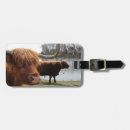 Buscar toros etiquetas para maletas General y unisex