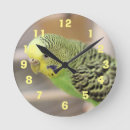 Buscar kiwi relojes de pared Amarillo