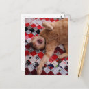 Buscar bostezo postales Gato