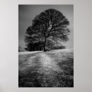 Buscar viento posters Campos