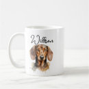 Buscar dachshund tazas Perros