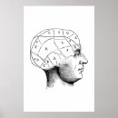 Buscar cerebro posters Medicina