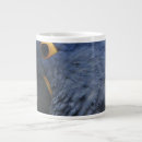 Buscar macaw tazas Azul