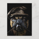 Buscar katze postales Perro