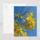 Buscar árbol amarillo postales General y unisex