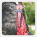 Buscar retratos masculinos postales Hombre