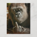 Buscar insultos postales Animal