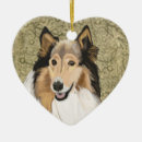 Buscar rough collie adornos Collie de pelo largo