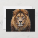 Buscar cara del león tarjetas Cabeza de león