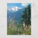 Buscar jungfrau postales Alpes