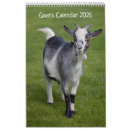 Buscar cabras calendarios 1 ᵉʳ explotación