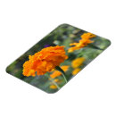 Buscar de verano imanes Flor