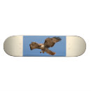 Buscar halcón tablas de skate Animal