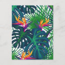 Buscar jungle postales Verano