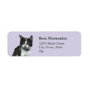 Buscar gato negro etiquetas Gatito