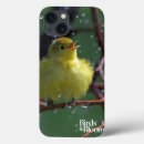 Buscar curruca El birding