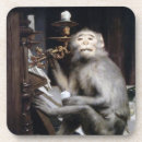 Buscar mono posavasos Divertido