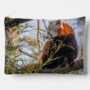 Buscar panda bolsas cosmetica Para todos