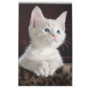 Buscar gatos calendarios 2022