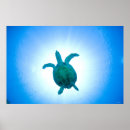 Buscar escala posters Reptil