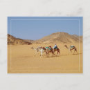 Buscar camello postales Paisaje