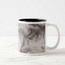Buscar toalla tazas Animal
