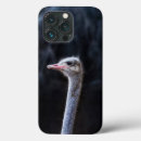 Buscar avestruz iphone fundas Pájaros