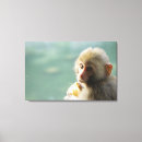 Buscar comida y bebida lienzos Foco