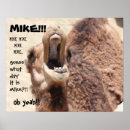 Buscar camello arte Diversión