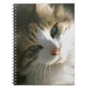 Buscar tiger cuadernos 9 º gata